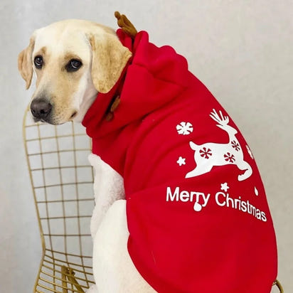 Pet Clothes for Small to Medium-Sized Dogs Casual and Warm Fleece-Lined Christmas Reindeer Cat Hoodie Teddy Dog Hoodie