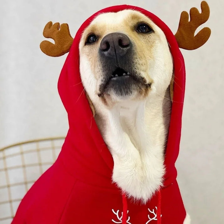 Pet Clothes for Small to Medium-Sized Dogs Casual and Warm Fleece-Lined Christmas Reindeer Cat Hoodie Teddy Dog Hoodie